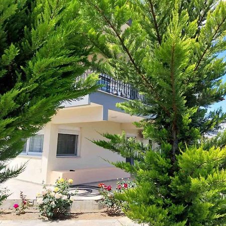Apartament Erofilio Keramotí Zewnętrze zdjęcie