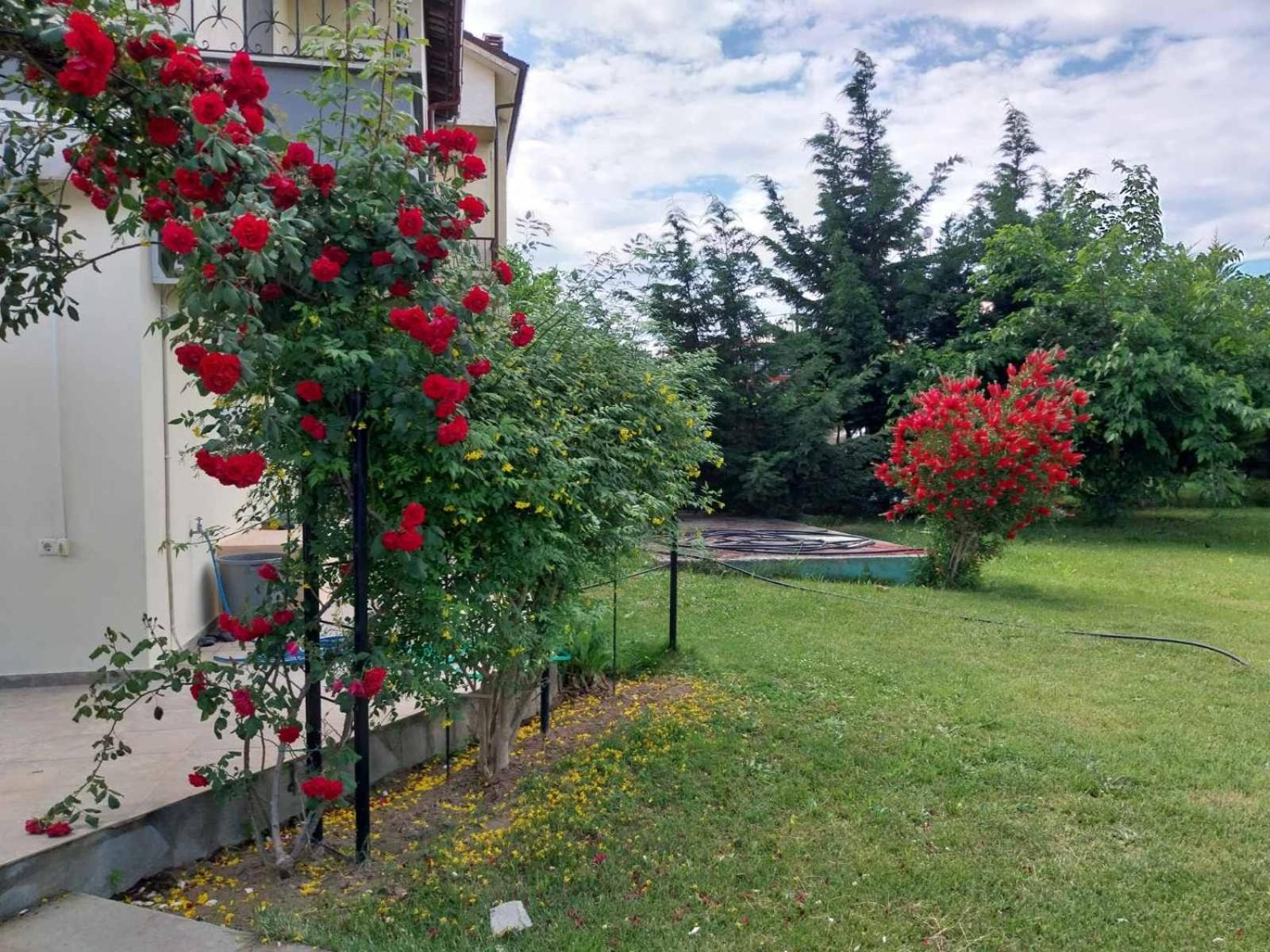 Apartament Erofilio Keramotí Zewnętrze zdjęcie