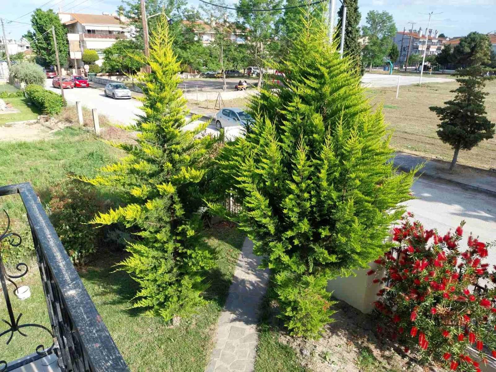 Apartament Erofilio Keramotí Zewnętrze zdjęcie