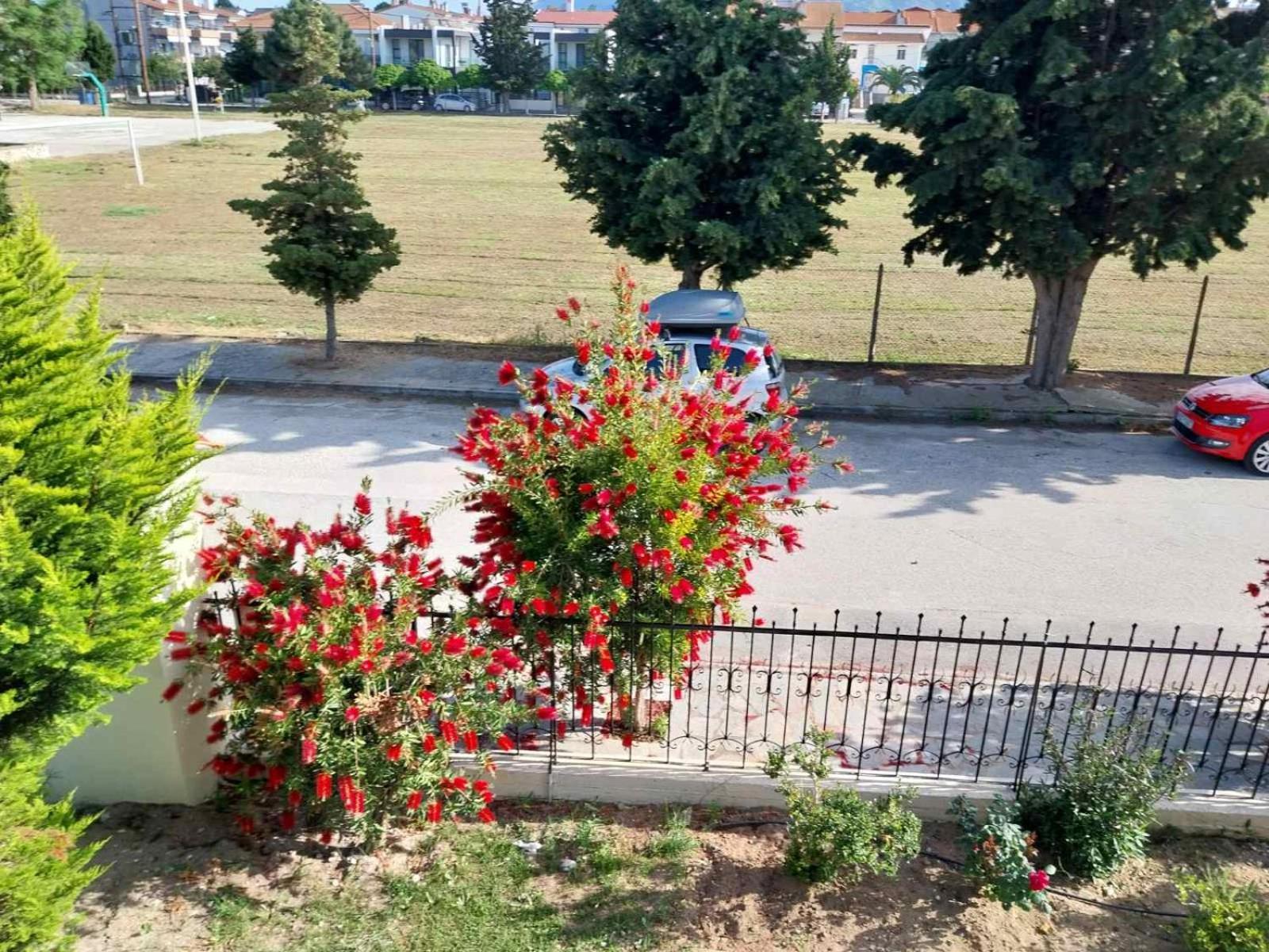 Apartament Erofilio Keramotí Zewnętrze zdjęcie